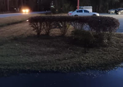 Quality Sod Installation