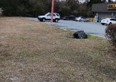 Reliable Backyard Landscaping