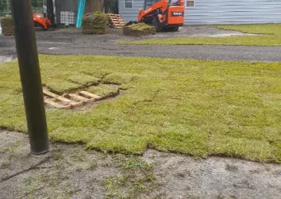 Reliable Sod Installation Service
